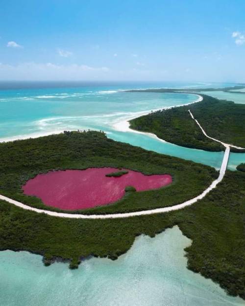 mexicoporsiempre: ✨La Reserva de la Biosfera Sian Ka´an✨La Reserva de la Biosfera Sian Ka´an, declar