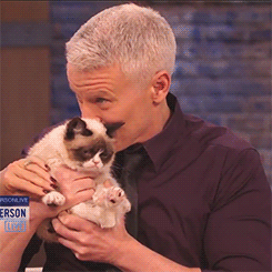  Anderson Cooper & Grumpy Cat on Anderson Live Grumpy Cat in the House! 