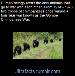 ultrafacts:  Source: [x] Click HERE for more facts! 