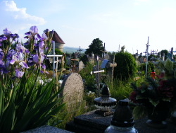beyond-the-stars-there-is-you:  Rural Cemetery