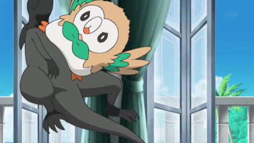 em-exceeds-change-zearu:ok but why is no one discussing that rowlet straight up kicked that salandit
