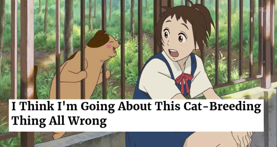 Porn photo The Onion Headlines as Ghibli films