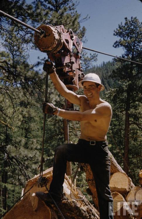 Oregon lumberjack(J.R. Eyerman. n.d.)