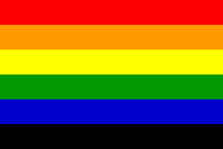 ideas-of-immortality: sixlunamoths:   phoenixcollective:   ideas-of-immortality:  To all the folx getting pissy over the Philadelphia Pride Flag: what about all these other Pride flags?  Seriously… if the only flag that upsets you is the one made by