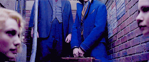 Fantastic Beasts And Where To Find Them(2016)