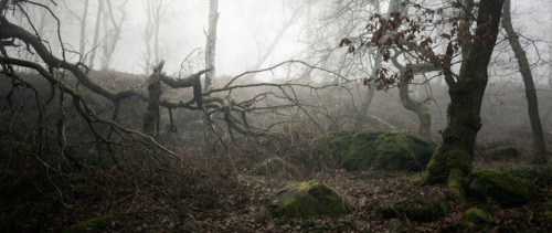 90377:The core, gorge and beckoning by vuzephotography.co.uk