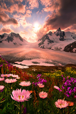 bluepueblo:  Sunset, Boundry Range, Alaska