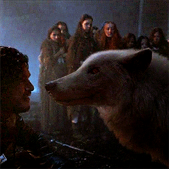 Game of Thrones Daily
