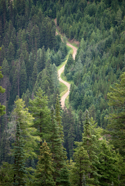 oh-haroo:  Follow me for more vertical nature and landscape!