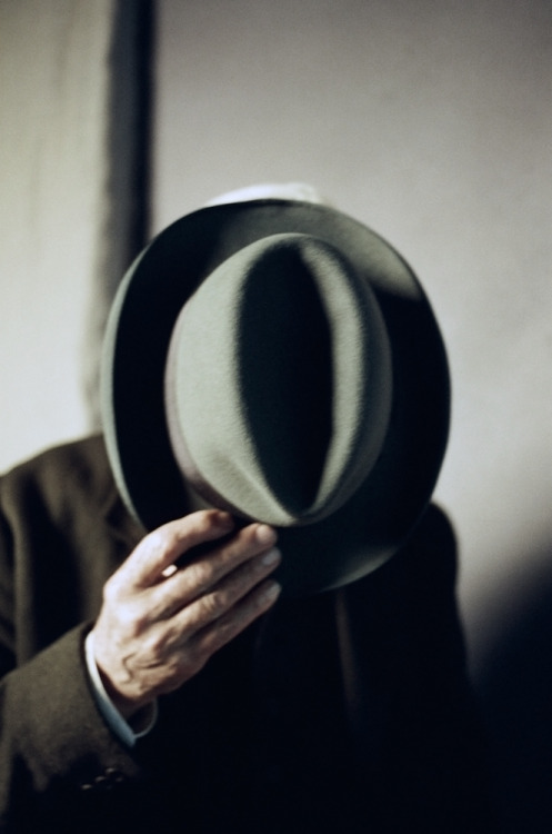 vagues-vagues:Ian McKellen, Mr. Holmes 2015