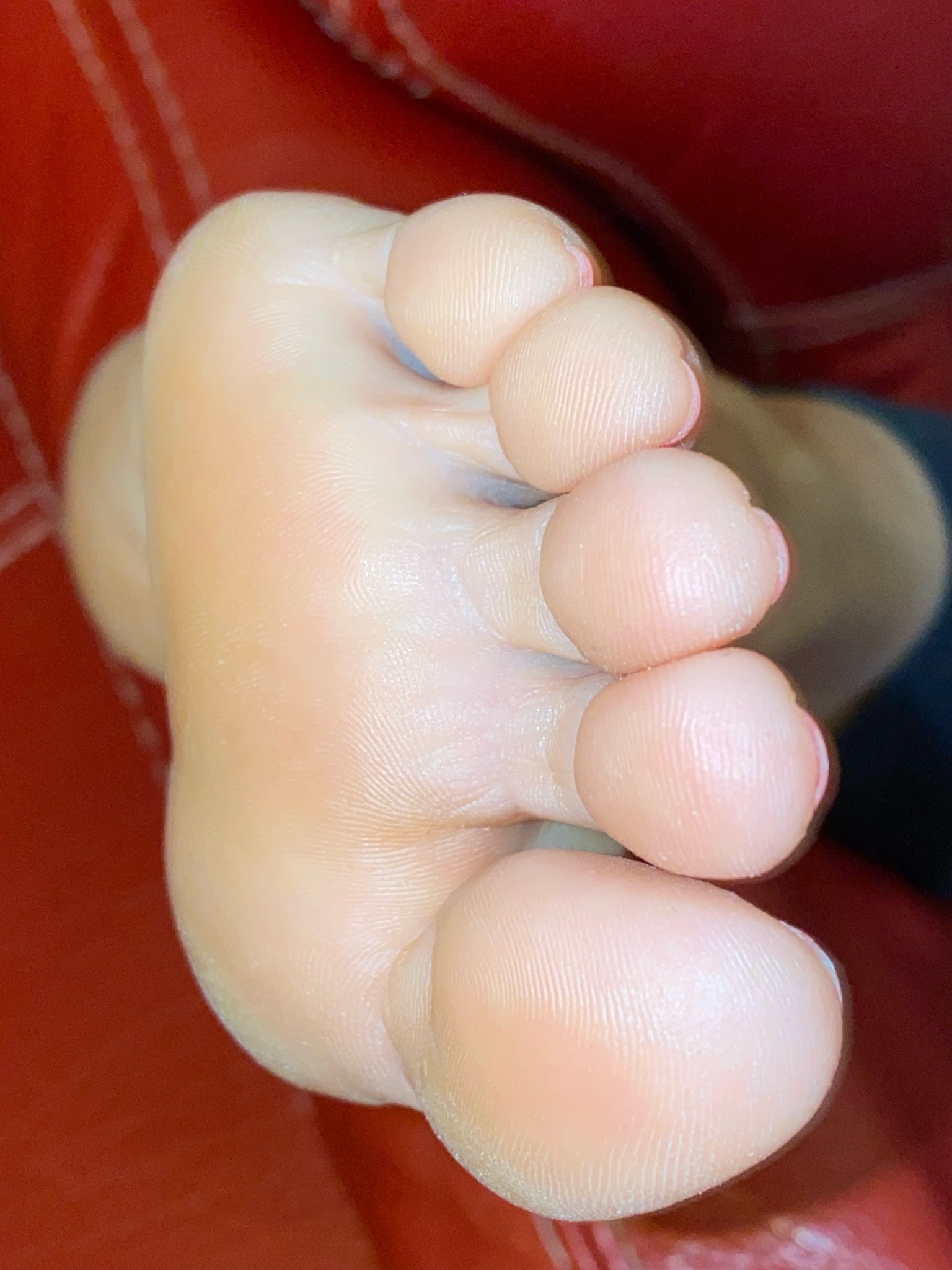 mylovelywifesfeet:A nice view of my lovely wife toes.Feel free to like comment and