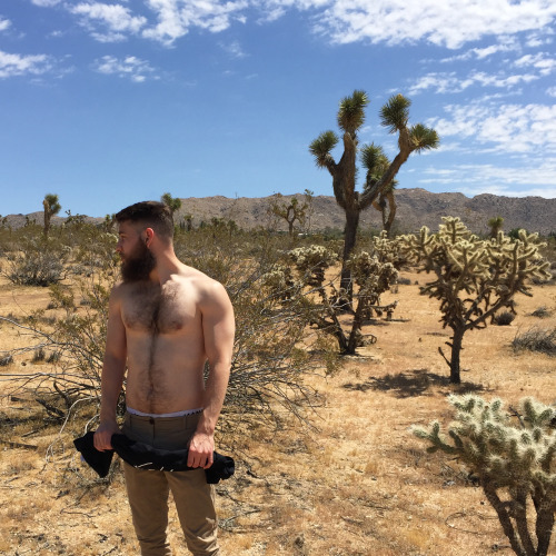 iseetheblood:  Joshua Tree this weekend