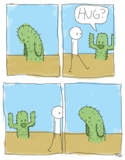 mindymaygan: haha …poor cactus