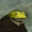 melancholic-frog