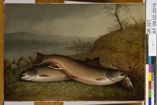 When the frame for Walter Brackett’s Trout (1867) was undergoing extensive treatment in preparation 