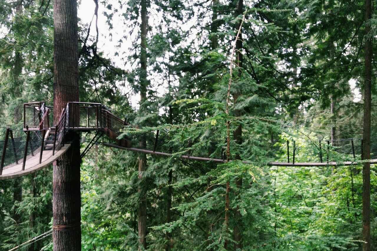 open-minded-teen:  Capilano Suspension Bridge Park, North Vancouver, British Columbia,