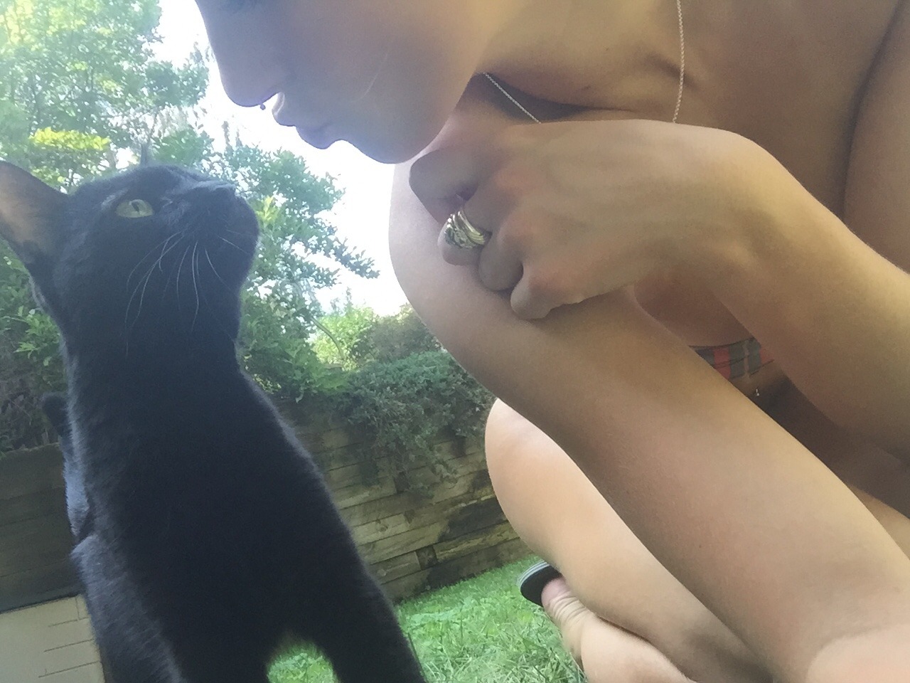 ikittenyou:  Kitty went outside today!ikittenyou 
