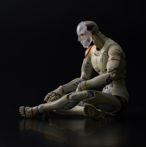 Announcing the 1/12 scale Synthetic Human Test Body - Summer Event Exclusive.Four short years ago, 1