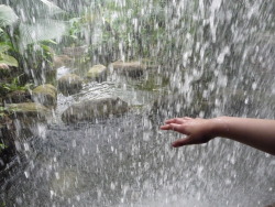 waaia:  my friend put her hand into the waterfall