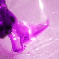 maasza-na:  ✿  K I L G R A V E  &amp;  A E S T H E T I C  ✿