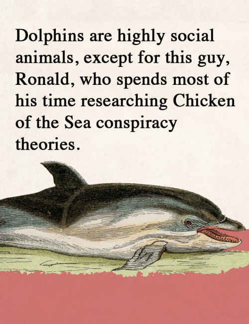 What about dolphins amazes you?
Our dolphin edition newsletter comes out in a few hours - don’t miss it! Subscribe now: https://fakescience.substack.com/