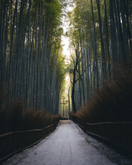 Kyoto - 1instagram : @446i