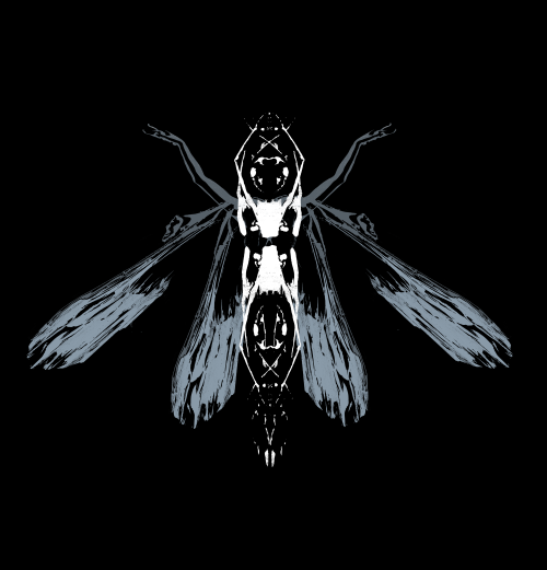 Dont Really Have A Name For This Other Than Ballerina Bug \_()_/