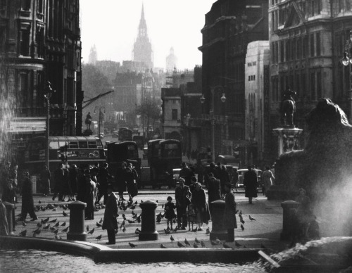 London, From Trafalgar Square to Whitehall &amp; Parliament 1953 Wolf Suschitzky