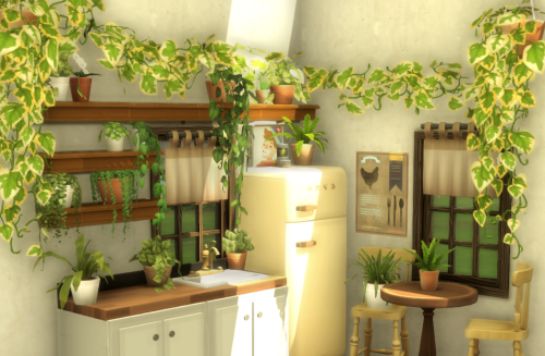 Blooming Rooms Kit Separated Plants