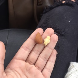 flowury:  flowury:when u get so bored during class you wittle an almond into a tiny man make him famous