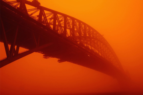 end0skeletal: In 2009, an iron-rich dust storm 300 miles wide and 600 miles long moved across Austra