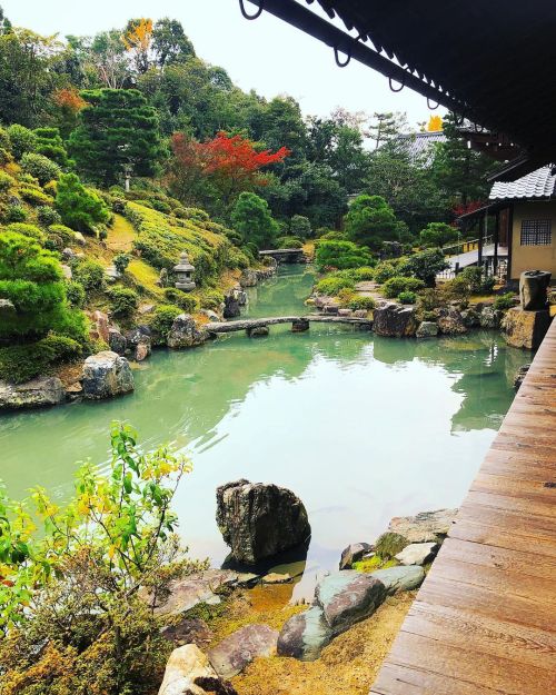 智積院庭園 [ 京都市東山区 ] ② Chishakuin Temple Garden, Kyoto ーー京都駅から2番目に近い常時公開の国指定名勝庭園“利休好みの庭”。 #運敞僧正 作庭。長谷川等伯