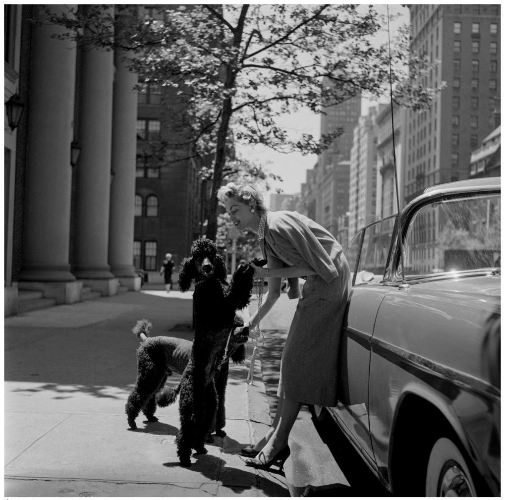 Park Avenue Fashion, 1955. Slim Aarons. Silver Gelatin