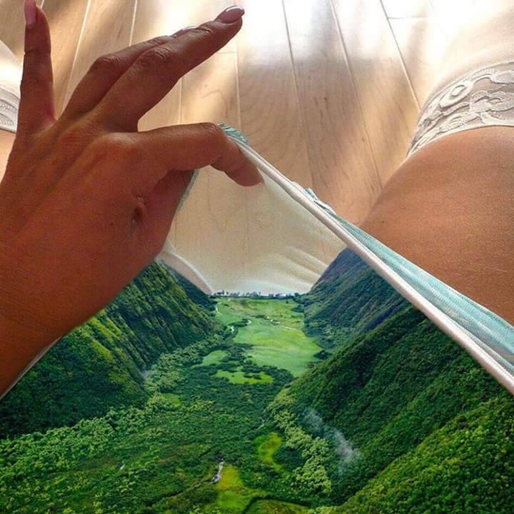 zativoo:  Paradise