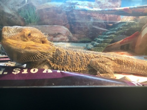 She Has Such A Big Head!!!!!!!!