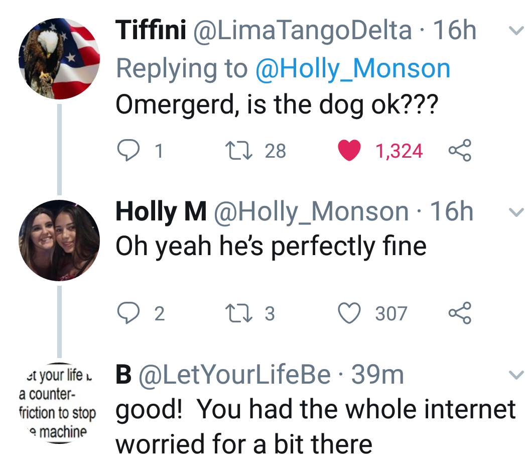 He's still a good doggo