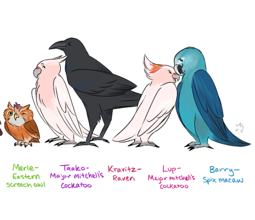 hiddeninmyhoodie: Maureen mighta seen 7 birds but I’m up to 11 lmao This drawing was based on 
