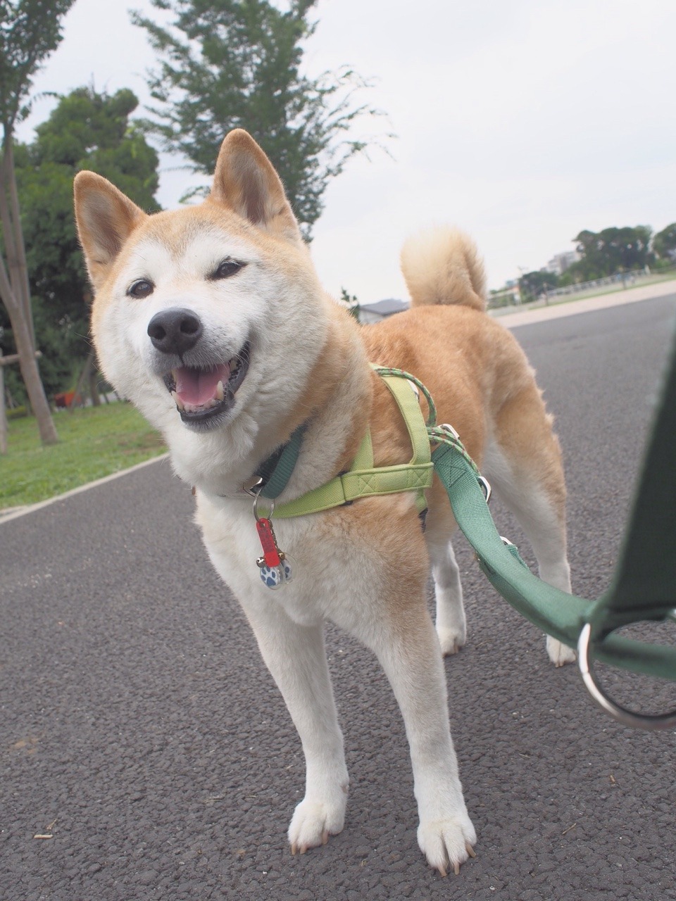 michibita:  Have a lucky day!