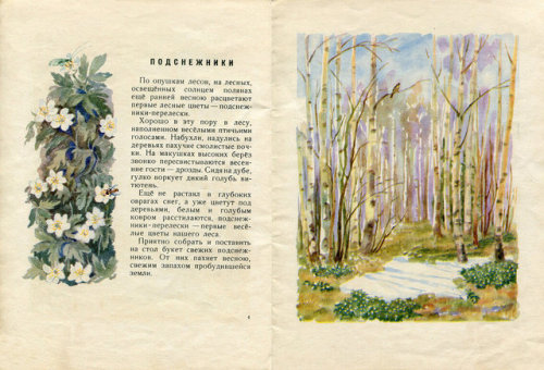 sovietpostcards:Ivan Solokov-Mikitov, “Flowers of the Forest”. Illustrated by Yelen