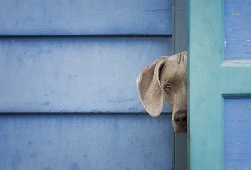 via mareheha.tumblr.com