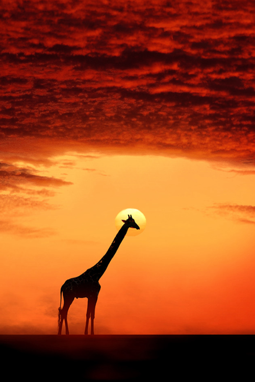 asthmas:  Caras Ionut, The saint 