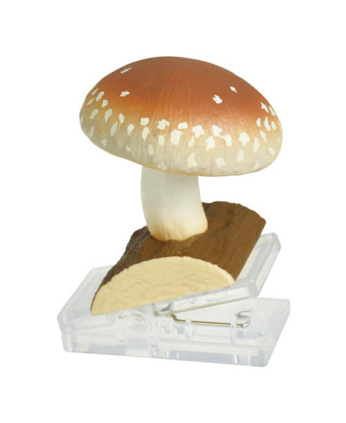 capsulemachine:Mushroom clip (epoch)