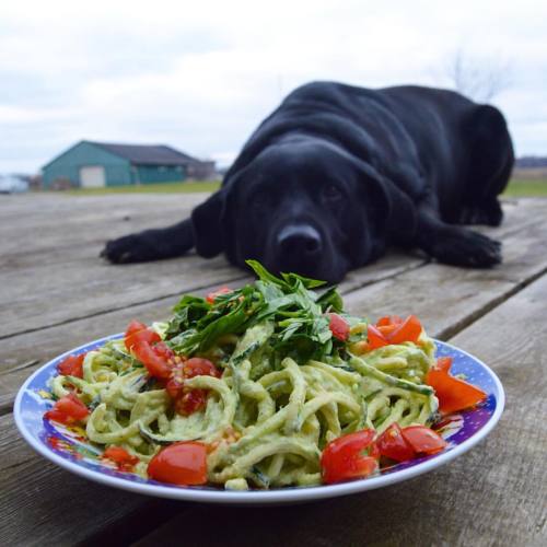 Can I have some??  Just uploaded a mukbang with this delicious raw vegan fettuccini alfredo pasta! M