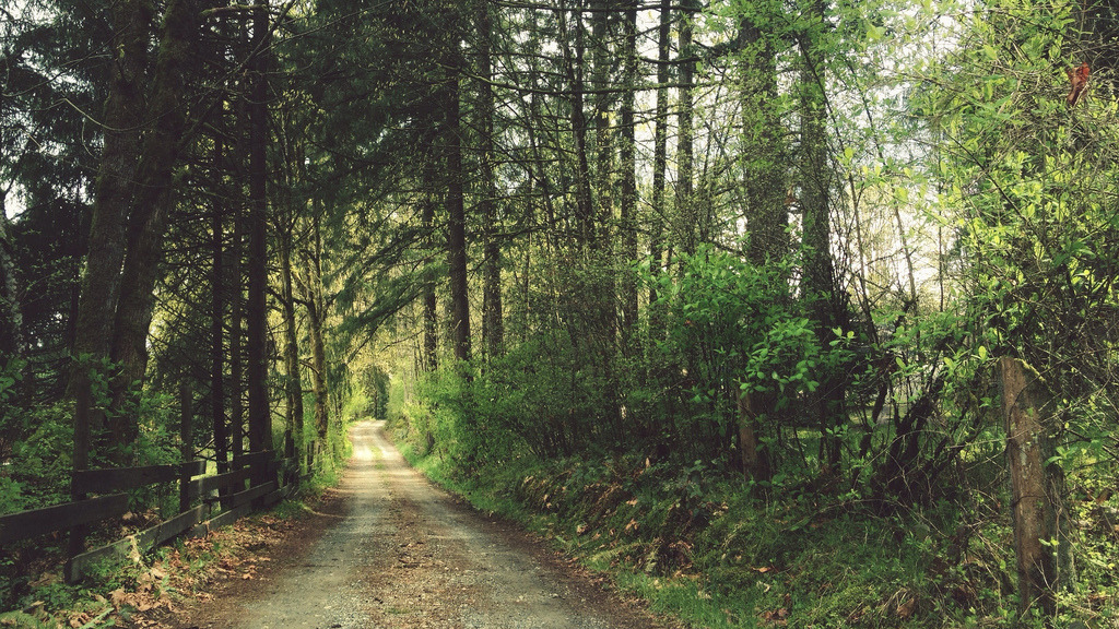 englishsnow:  by Tyler Forest-Hauser 