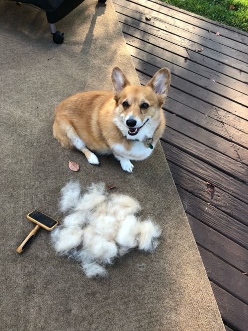 Someone is happy to have a layer off on this hot day