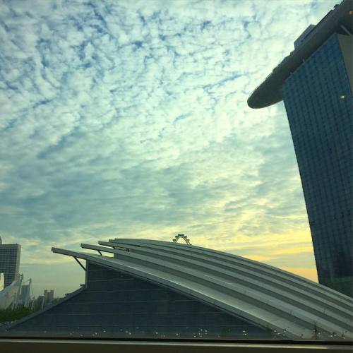 Morning Singapore #mbs #marinabaysands (at Marina Bay Sands)