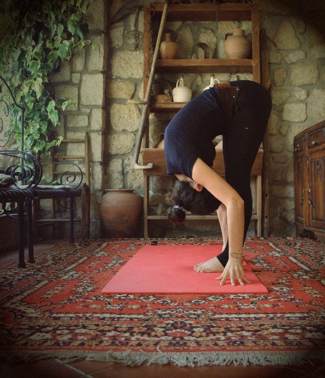 cosmofilius:  spent the afternoon practicing a few asanas and deepening the bond