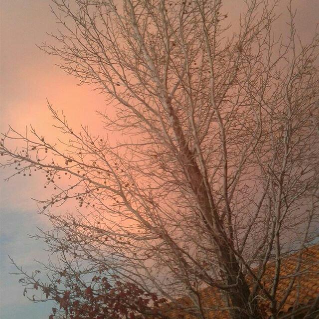 fckinpink:  My friend Ivy took this picture at dusk ✨✨ (please don’t remove
