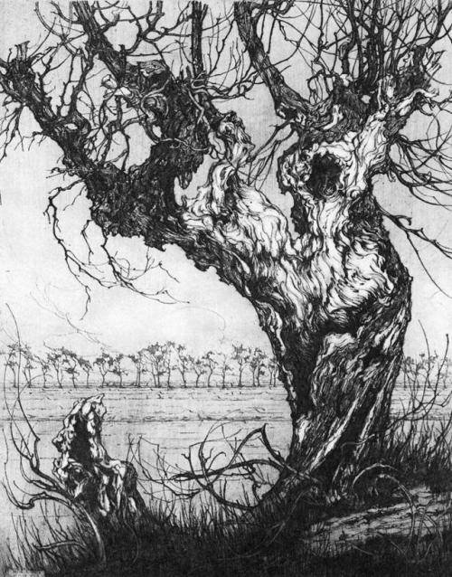 “Old Willow” by Anton Franciscus Pieck [750 x 957]