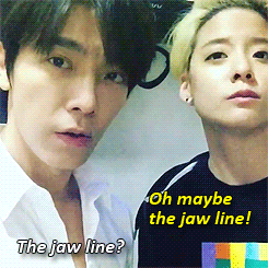 rurouneko: donghae861015: Do we look alike? (x) (x)